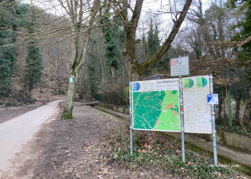 (67146) Deidesheim - — foto 2