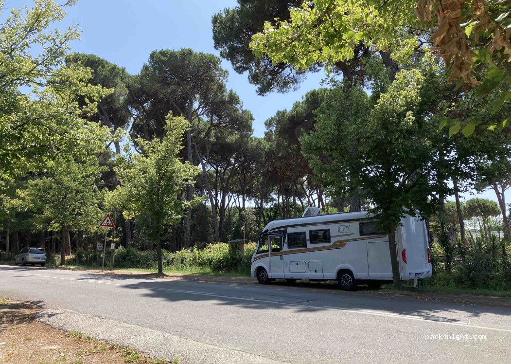 (55049) Viareggio - 21 Viale dei Tigli — foto 2