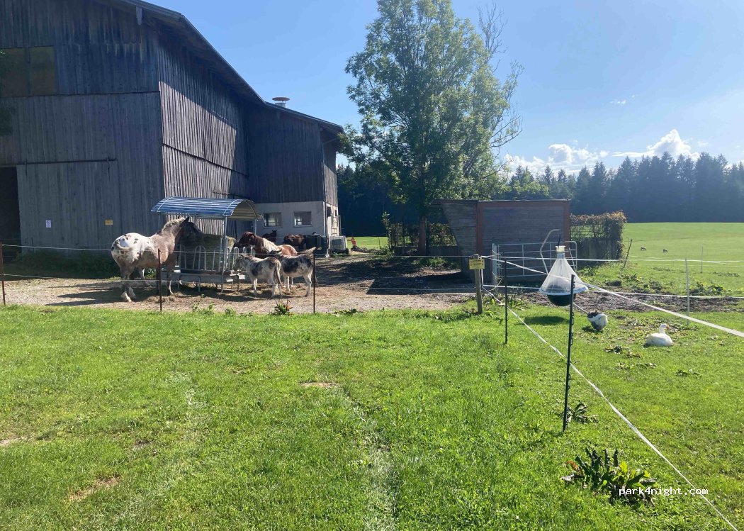 Ferienhof Maderbichl Steingaden — foto