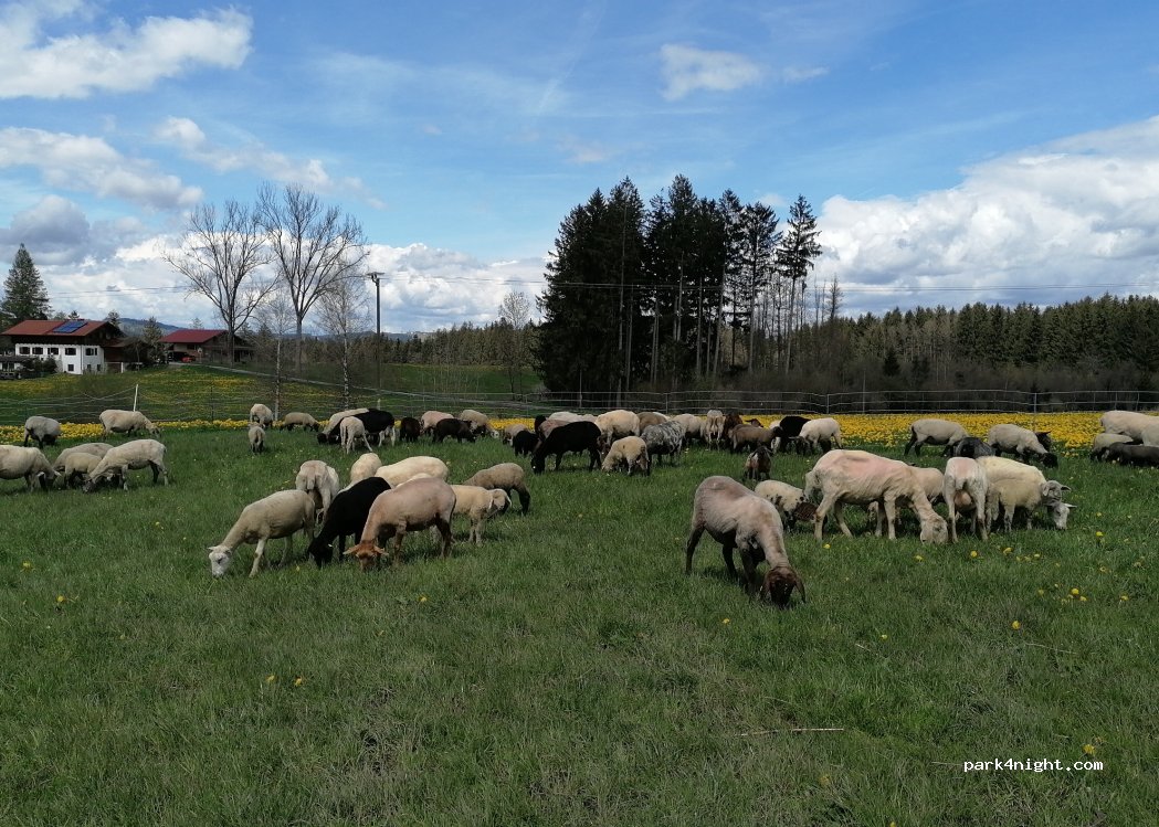 Ferienhof Maderbichl Steingaden — foto 4