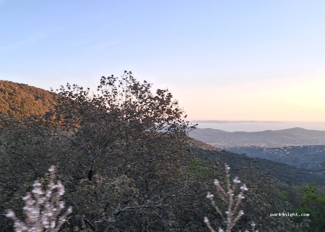 (83230) Bormes-les-Mimosas - — foto