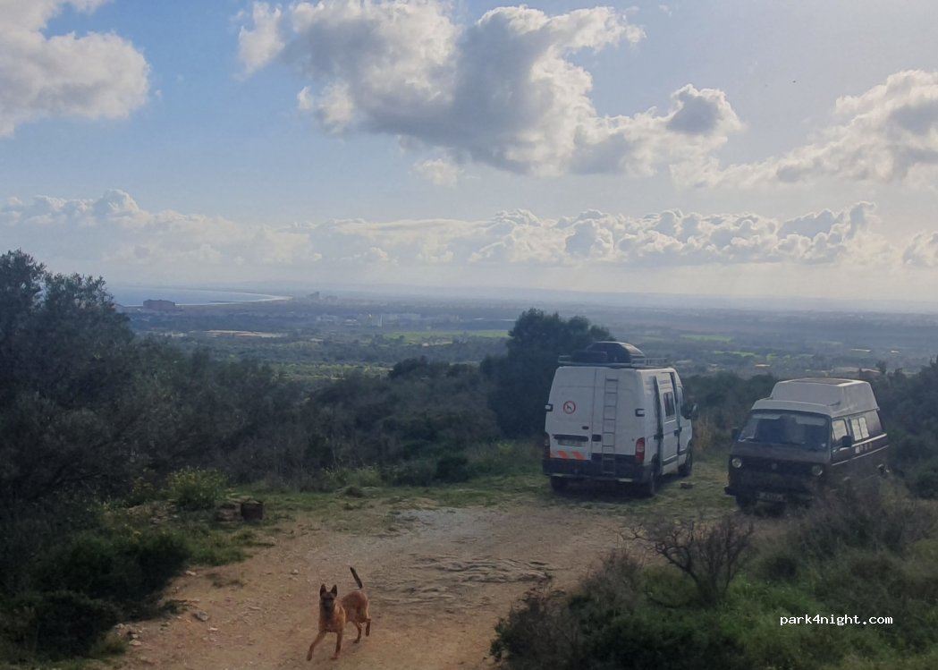 (17495) Palau-saverdera - — foto