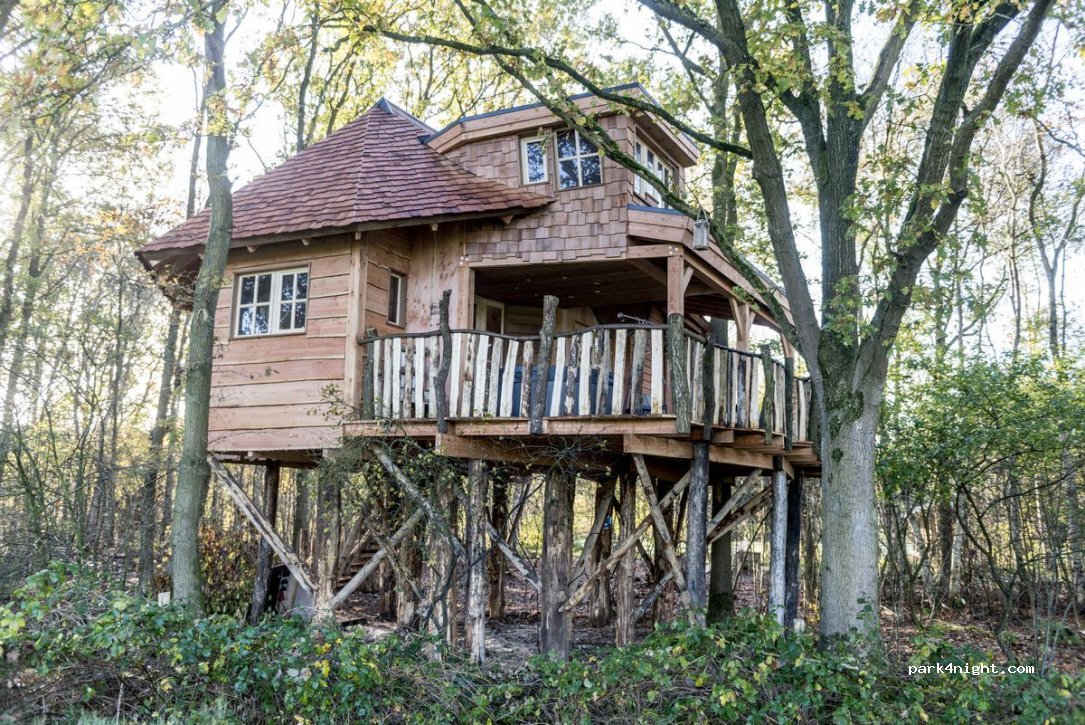 Vakantiepark Westerbergen — foto 4