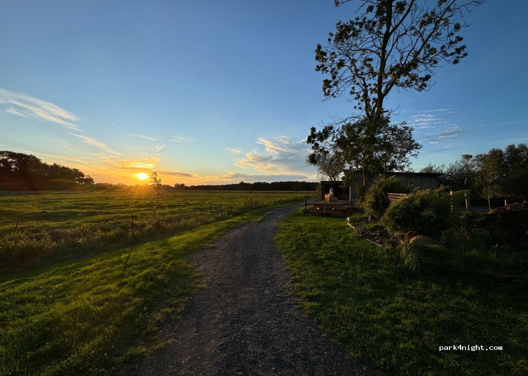 (26937) Stadland - 8 Süderreitlander Herrenweg — foto