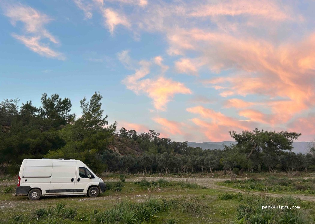 (48800) Döğüşbelen - — foto