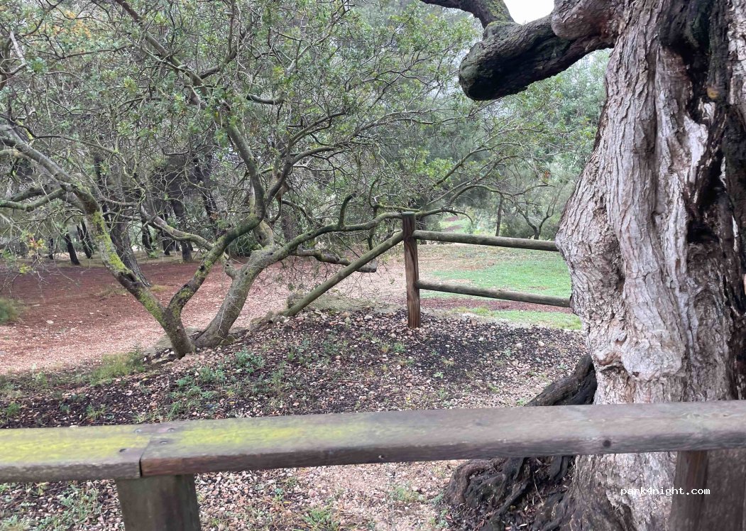 (12500) Vinaròs - 41 Camí de l'Ermita — foto