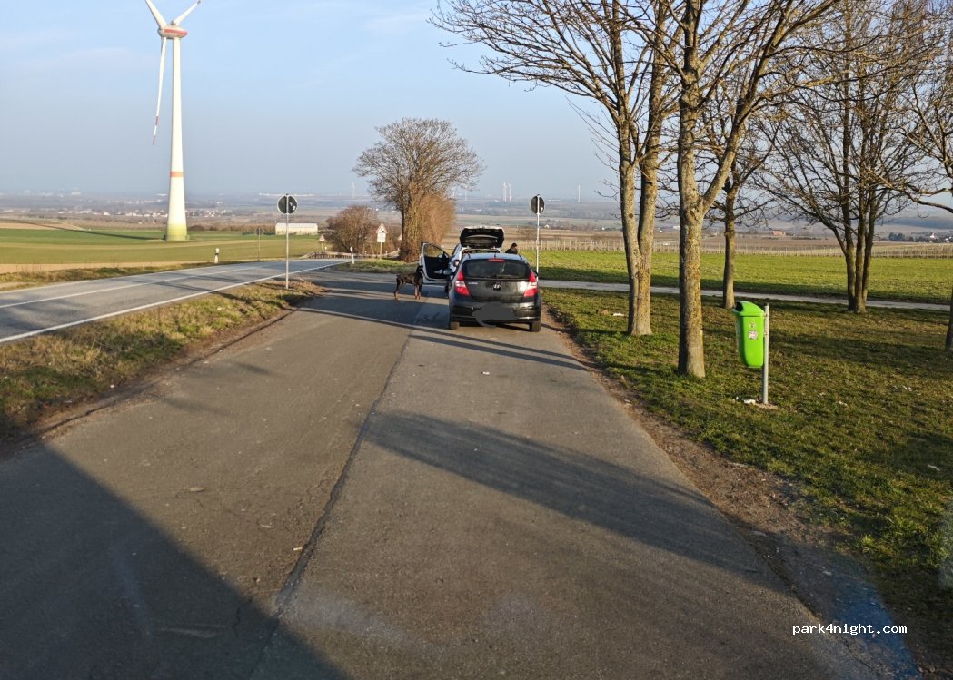 (67592) Flörsheim-Dalsheim - 271 — foto