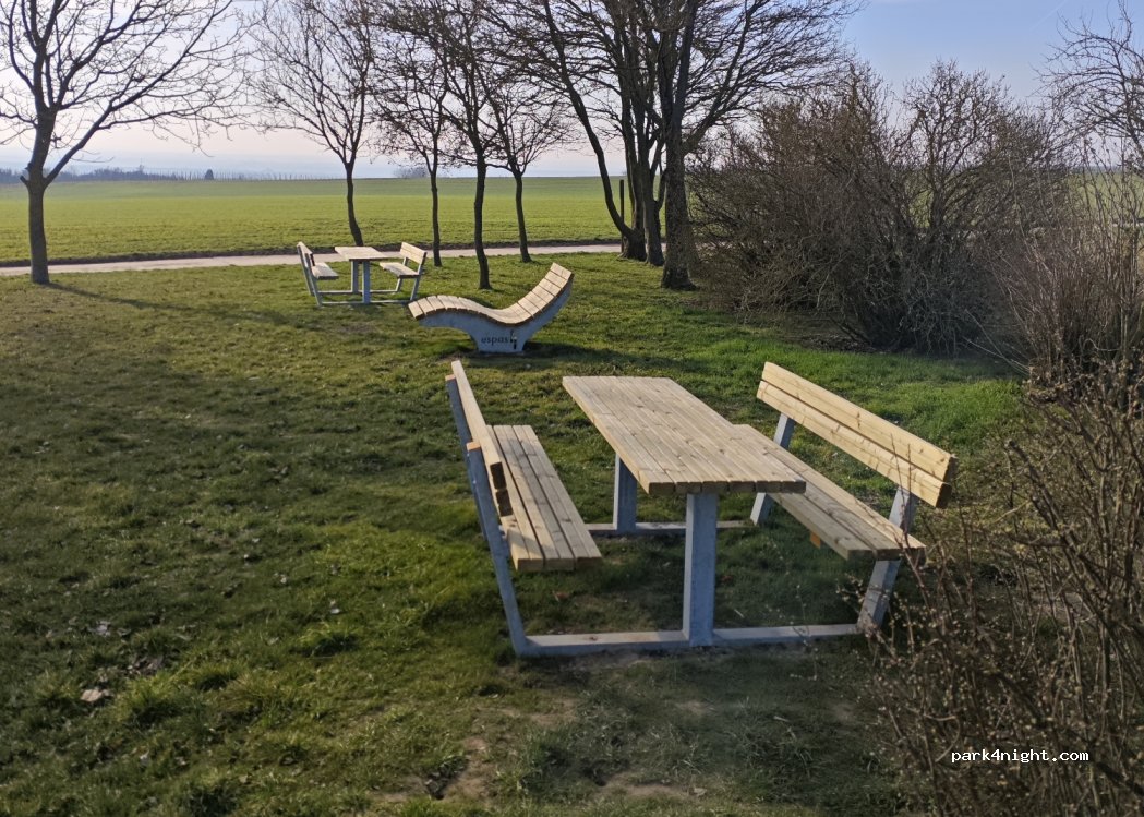 (67592) Flörsheim-Dalsheim - 271 — foto 2