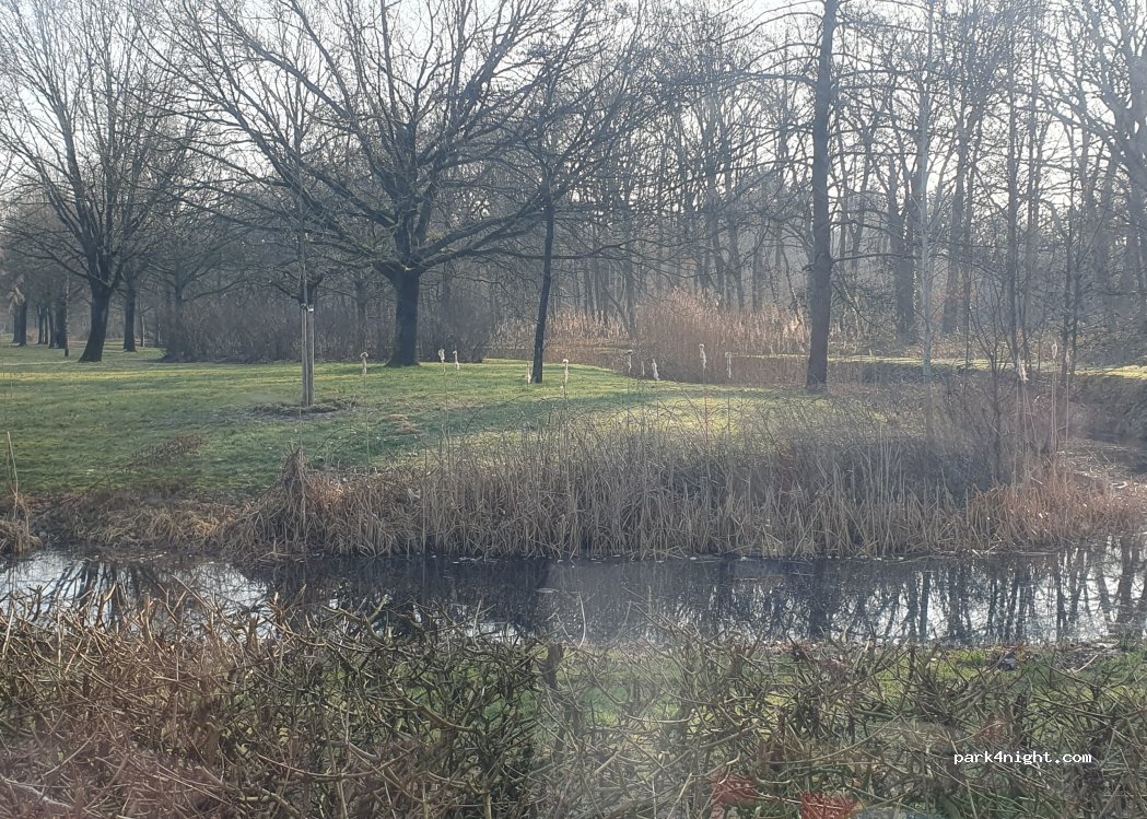 (5144 NK) Waalwijk - 126 Burgemeester Smeelelaan — foto
