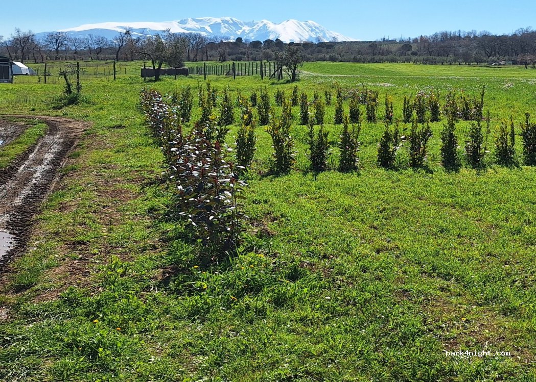 Fattoria rural resilience — foto
