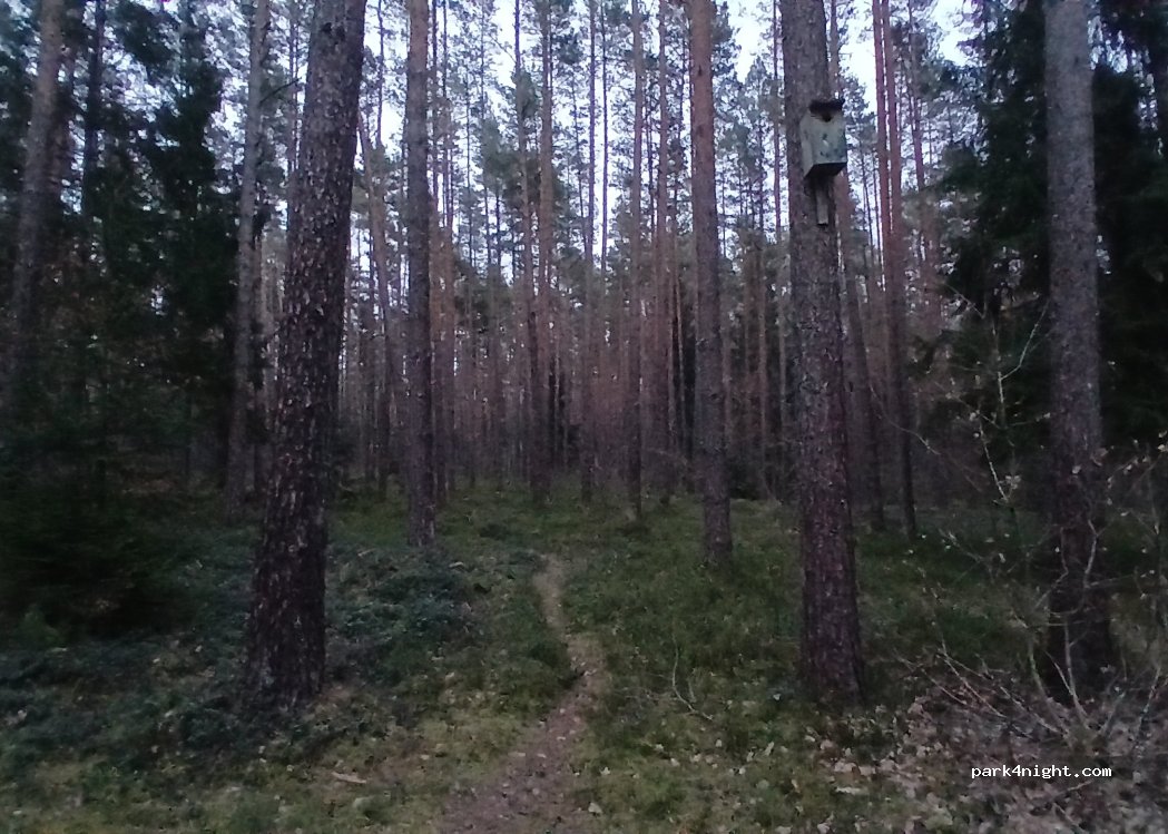 () Kalviai - — foto 4