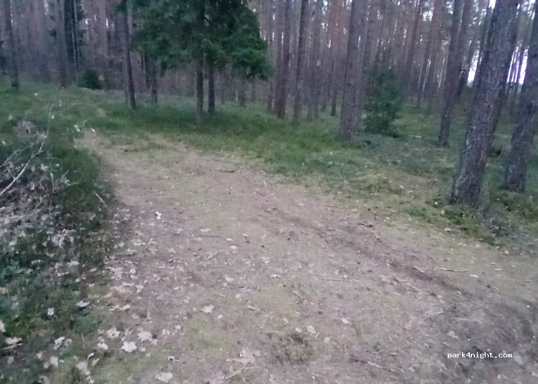 () Kalviai - — foto 5