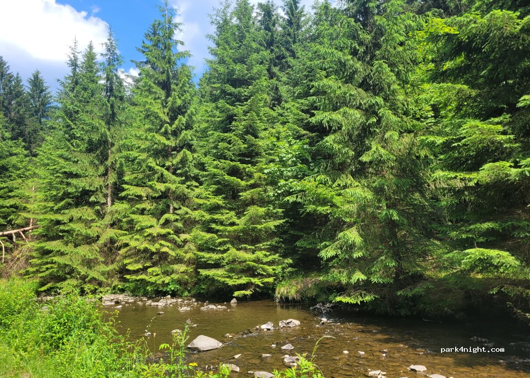 Harzklub Wanderheim — foto 3