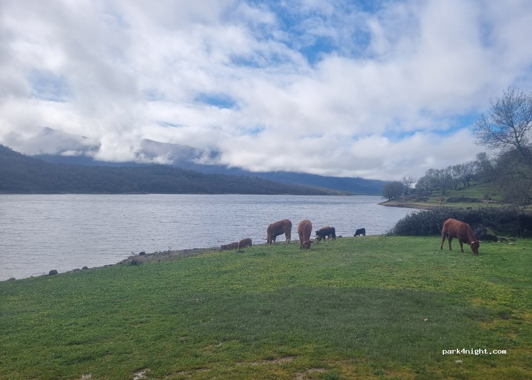 (10750) Baños de Montemayor - — foto 2