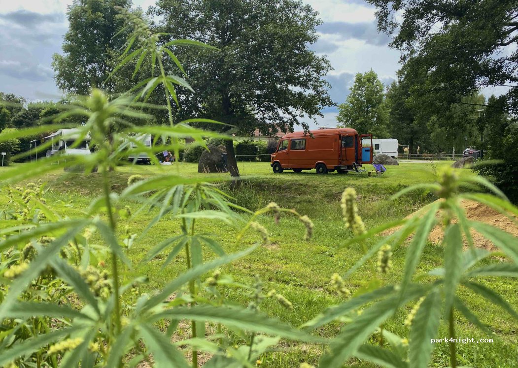 Haarstubencampingplatz Reingers — foto 4