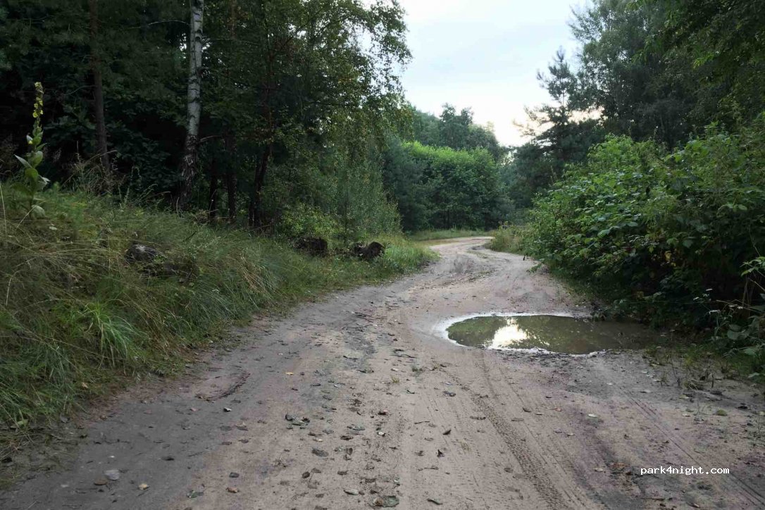 (16909) Wittstock/Dosse - 2 Griebseer Weg — foto 3