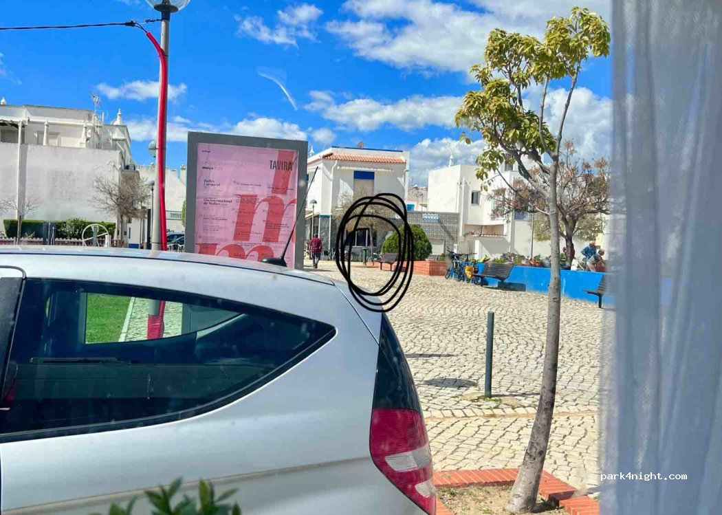 (8800) Santa Luzia - 81 Rua Capitão Manuel Baptista Marçal — foto 2