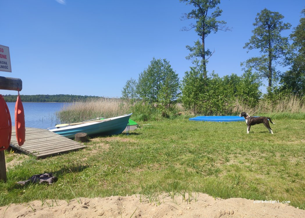 (19-411) Szwałk - — foto