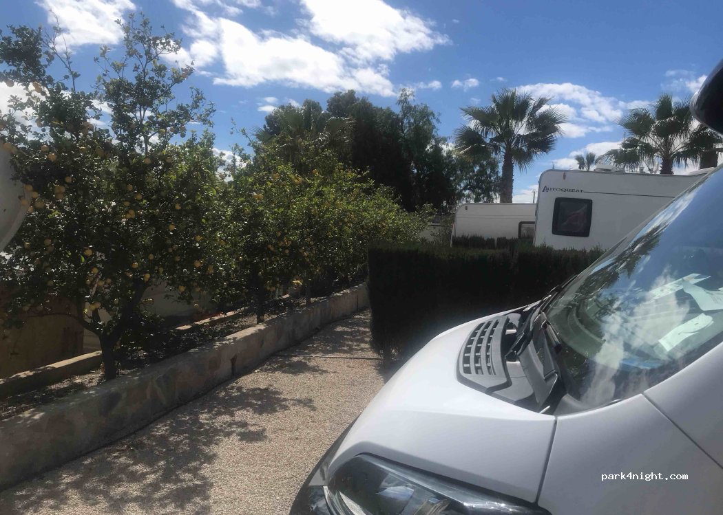 Camping Totana — foto 3