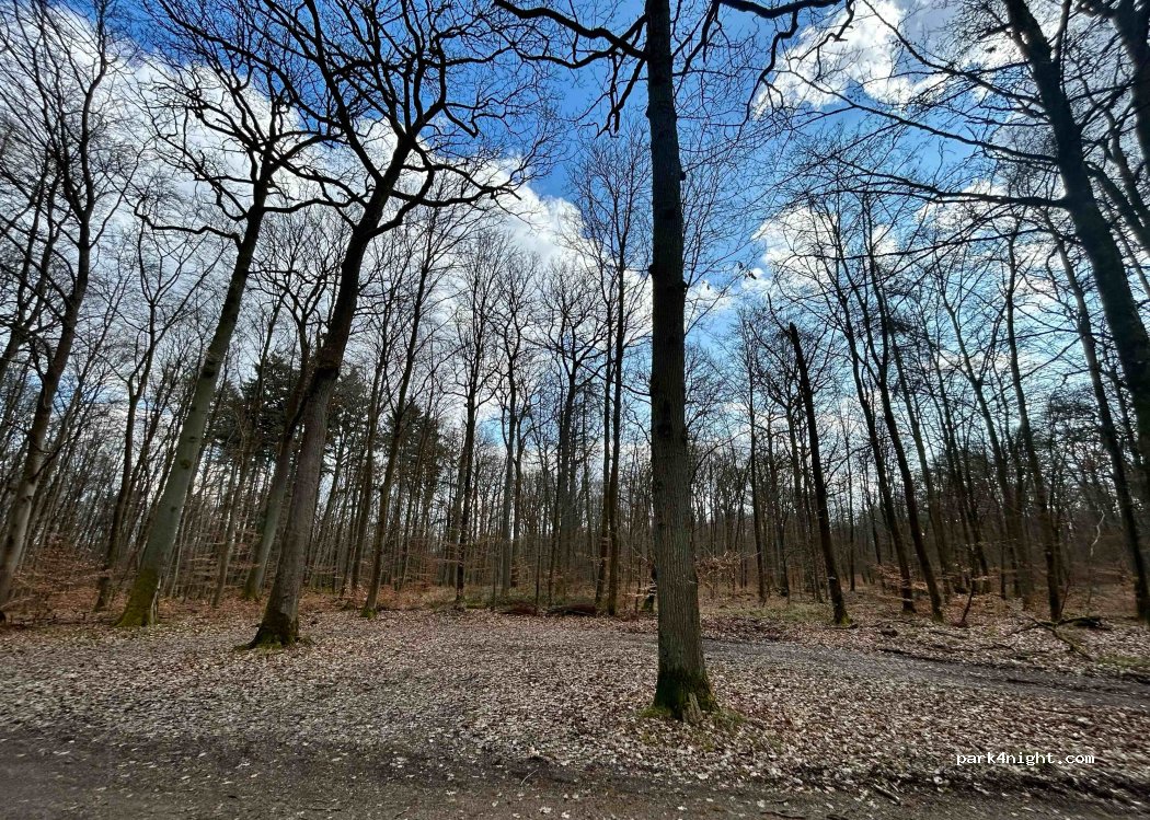 (35435) Wettenberg - Unnamed Road — foto