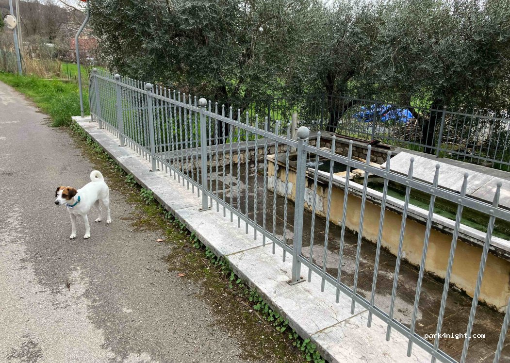 (31030) Borso del Grappa - 23 Via Cenghia — foto