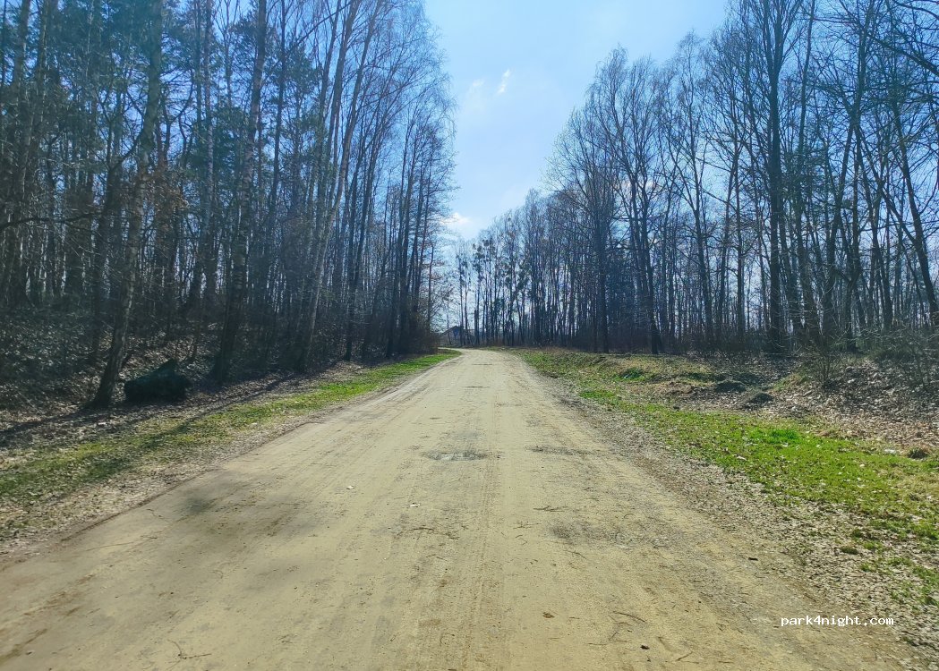 (42-582) Rogoźnik - 19 Parkowa — foto
