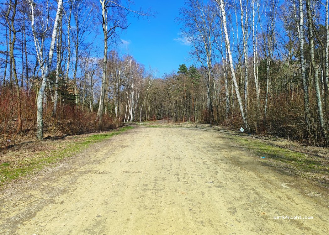 (42-582) Rogoźnik - 19 Parkowa — foto 2