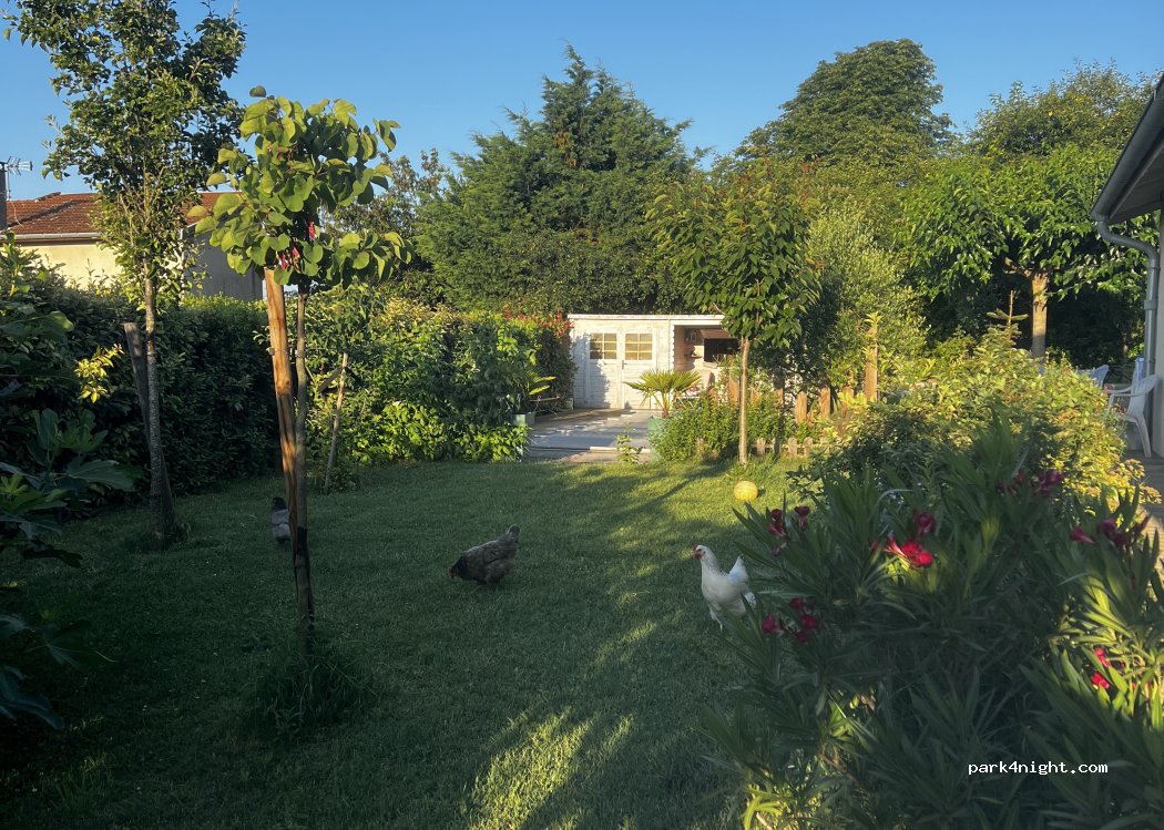(38370) Saint-Prim - 27 Chemin de Corneyzin — foto 3