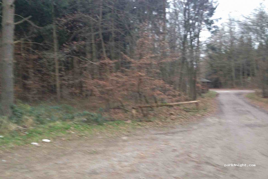 (17039) Wulkenzin - Unnamed Road — foto 2