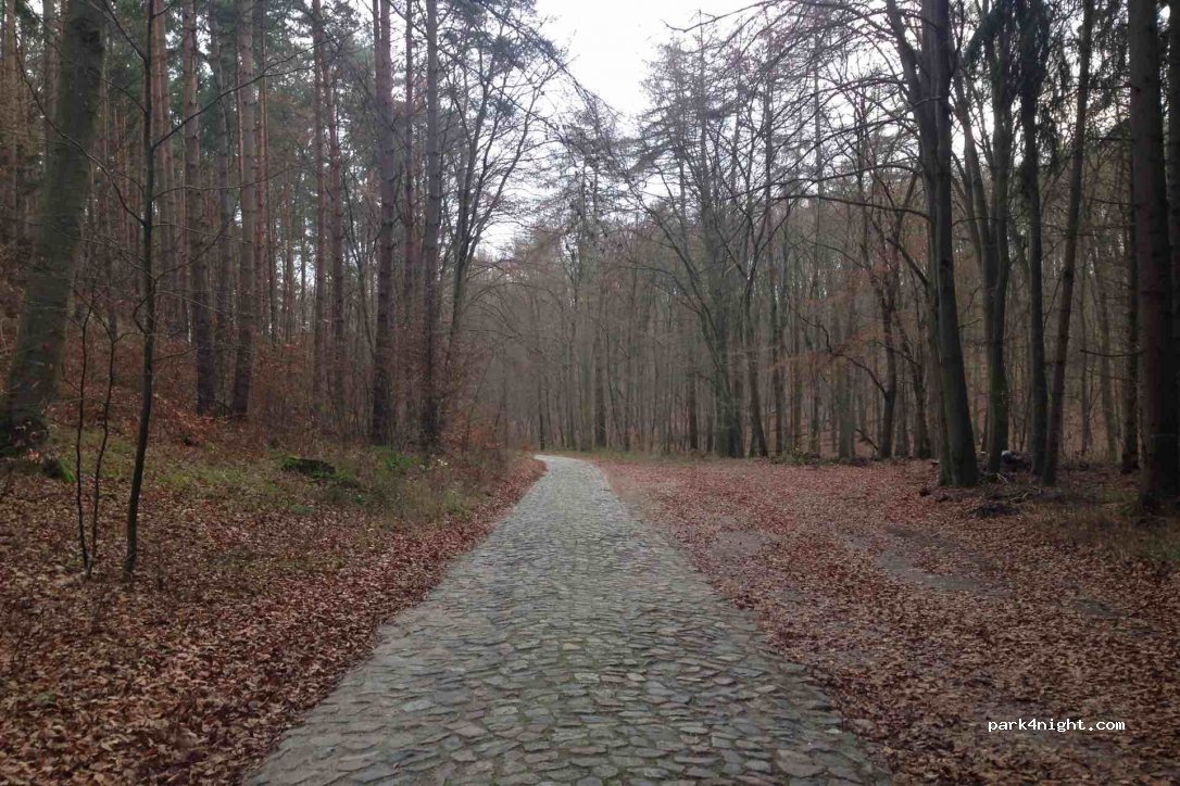 (17039) Wulkenzin - Unnamed Road — foto 3