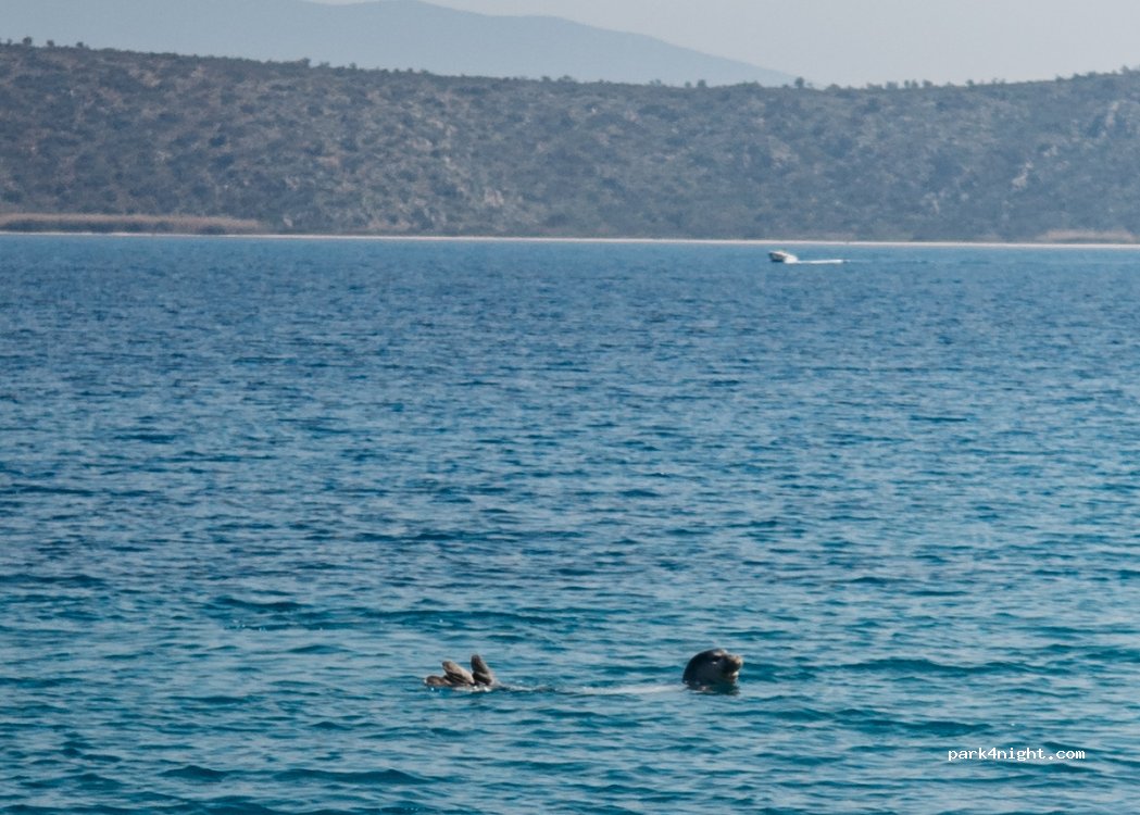 (210 60) Nafplio - Αγίου Σπυρίδωνος — foto 4