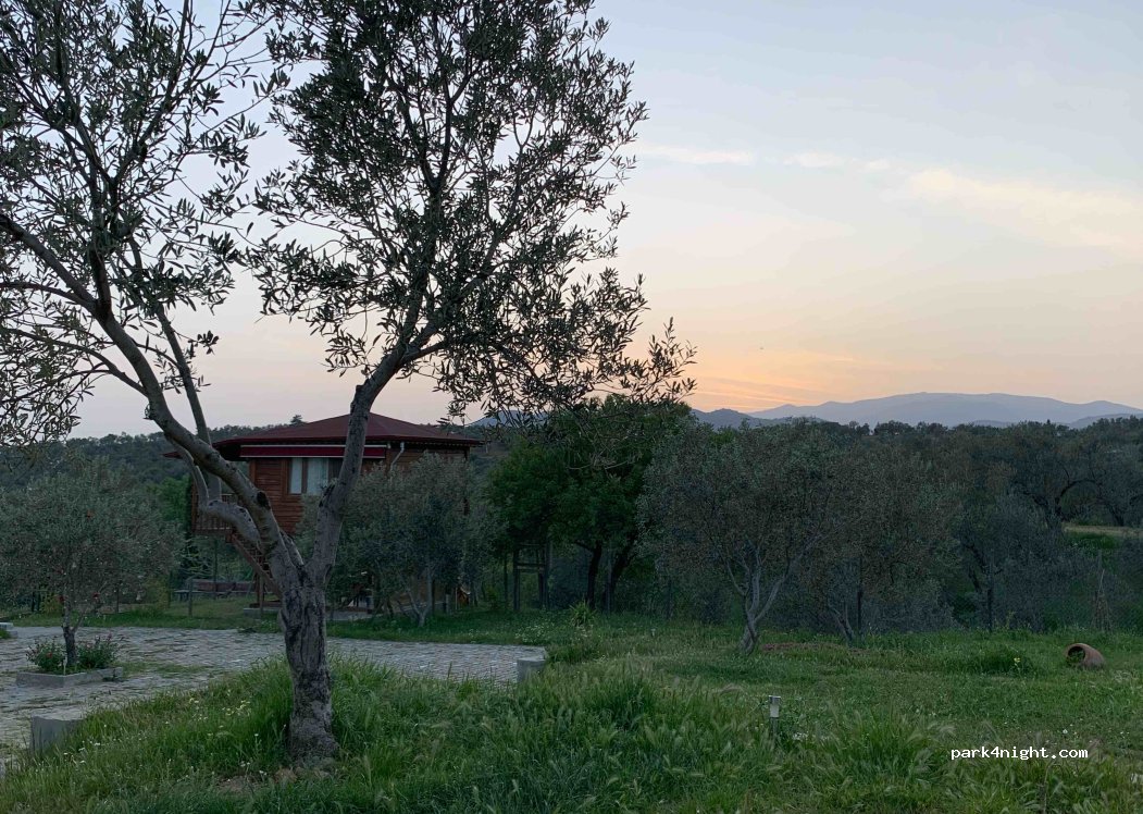 Oli Camping & Bungalows — foto 5