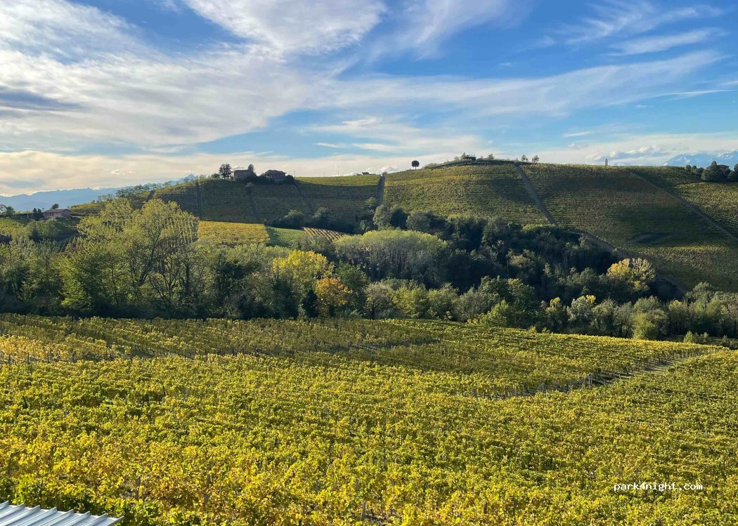 (12053) Castiglione Tinella - 11 Strada Manzotti — foto