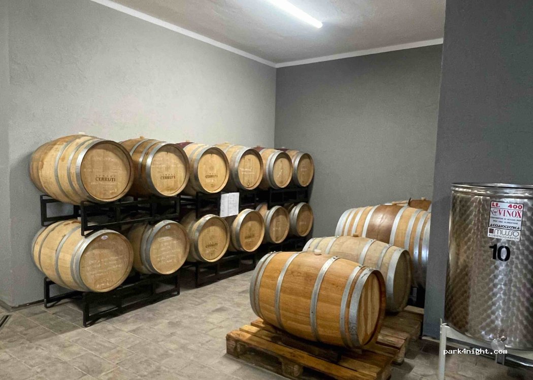 (12053) Castiglione Tinella - 11 Strada Manzotti — foto 3