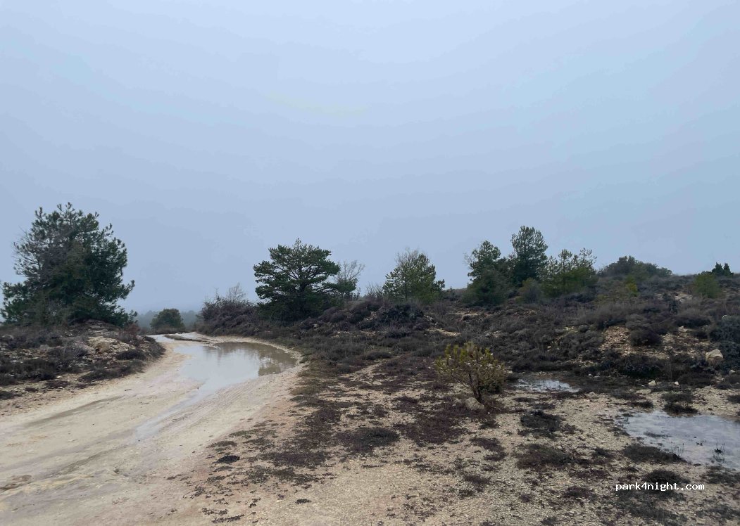 (16192) Buenache de la Sierra - — foto