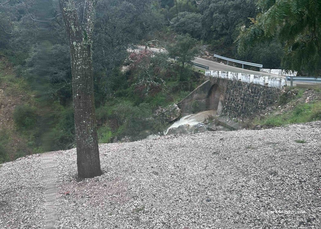 (29462) Júzcar - MA-7301 — foto 2
