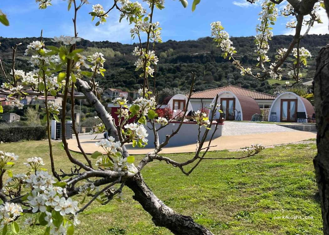 Checchito Sardinia luxury glamping — foto