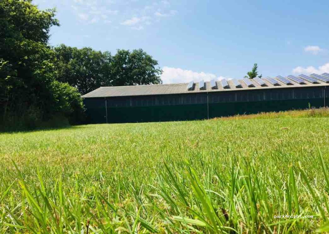 (48477) Hörstel - 70 Dünnenbirkenweg — foto