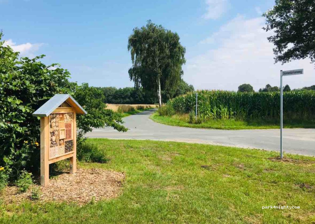 (48477) Hörstel - 70 Dünnenbirkenweg — foto 3
