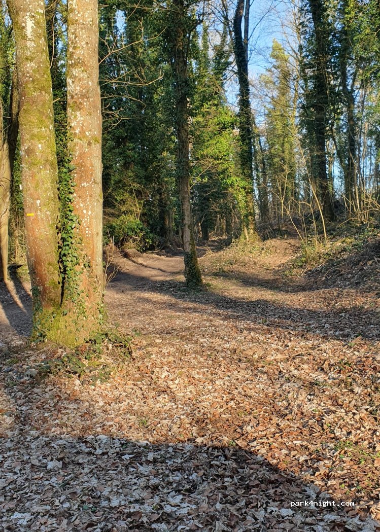 (57480) Sierck-les-Bains - 7 Chemin de l'Altenberg — foto
