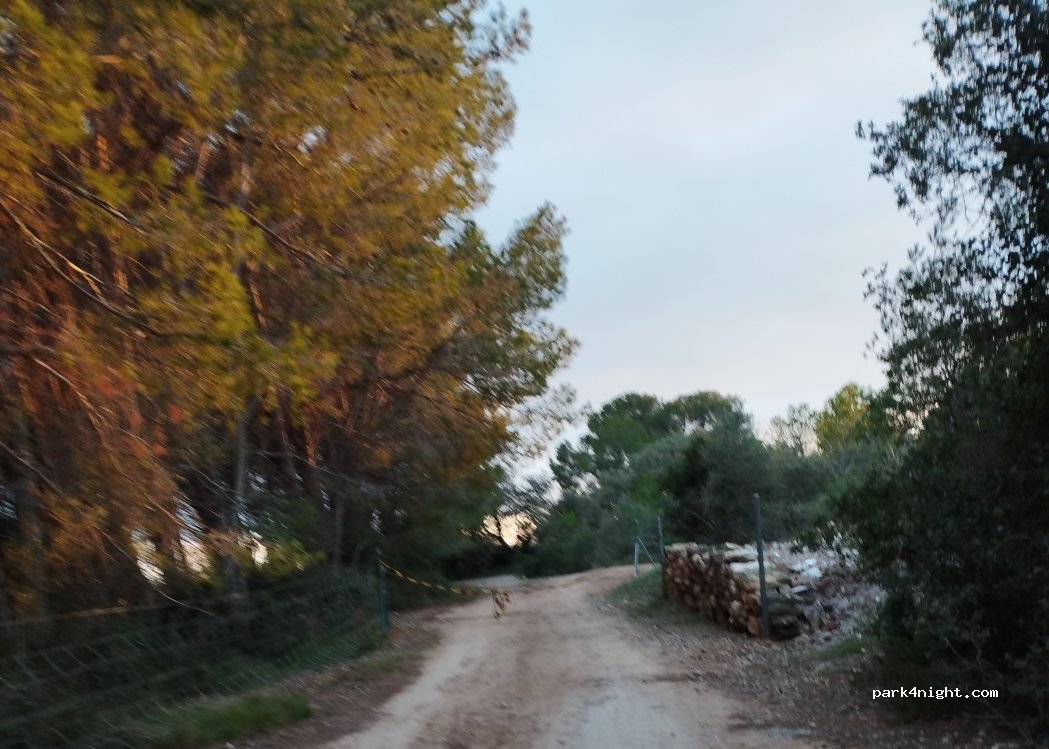 (43812) Puigpelat - — foto