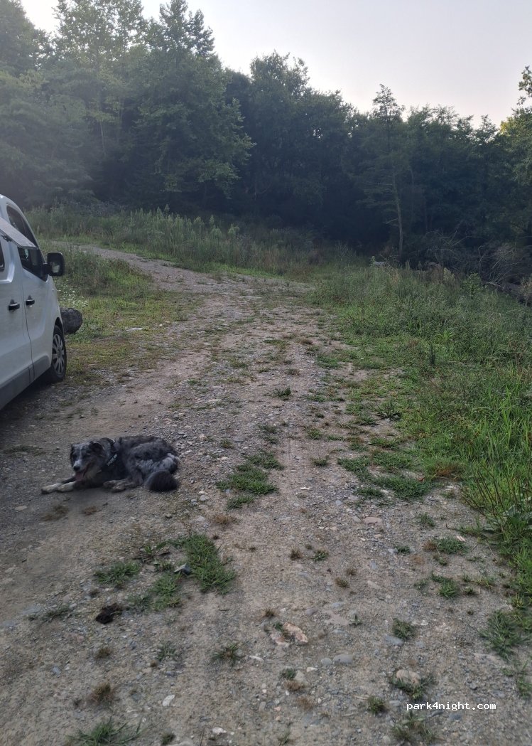 (64310) Saint-Pée-sur-Nivelle - — foto