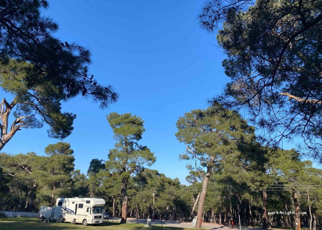 (45700) Şair Eşref - — foto