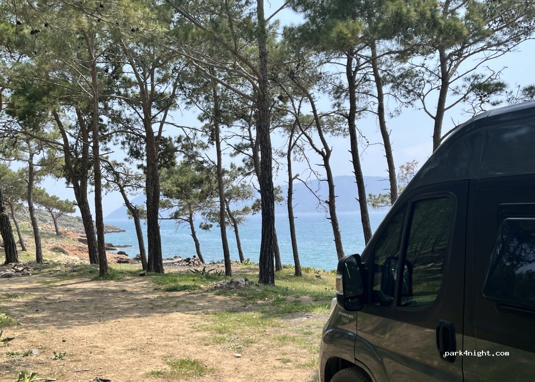 (33900) İmamuşağı - — foto 2