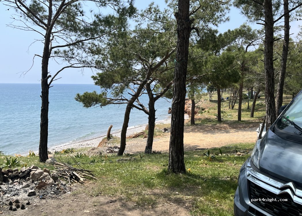 (33900) İmamuşağı - — foto 3