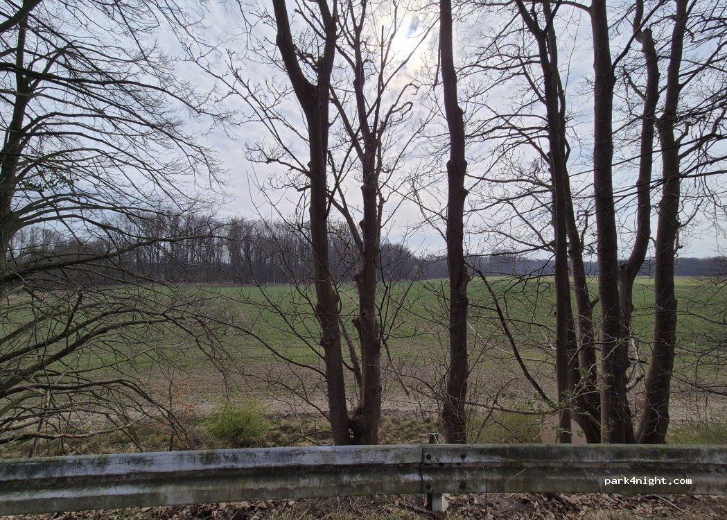 (30880) Laatzen - 135 Birkensee — foto