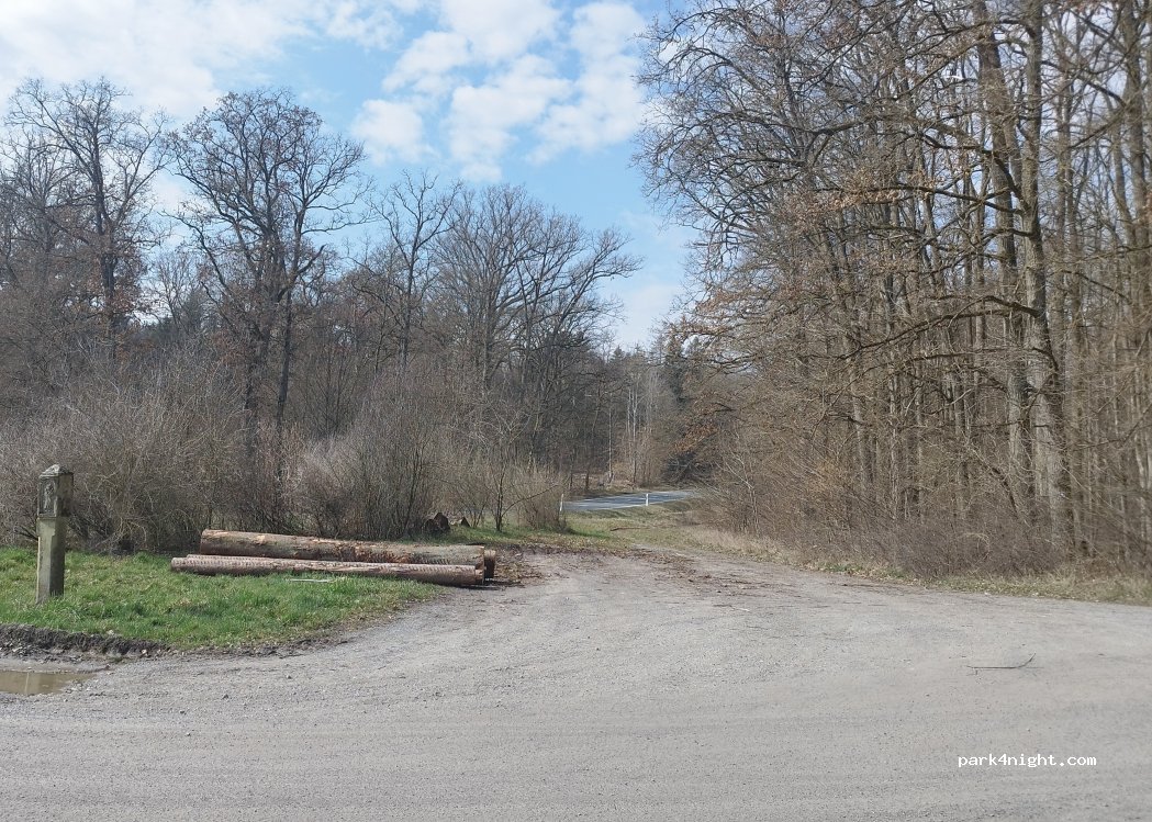 (97222) Gramschatzer Wald - Unnamed road — foto 2