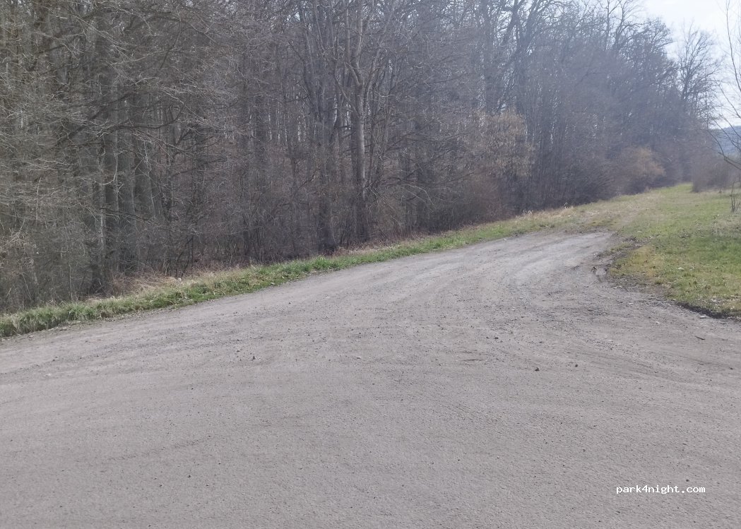 (97222) Gramschatzer Wald - Unnamed road — foto 3