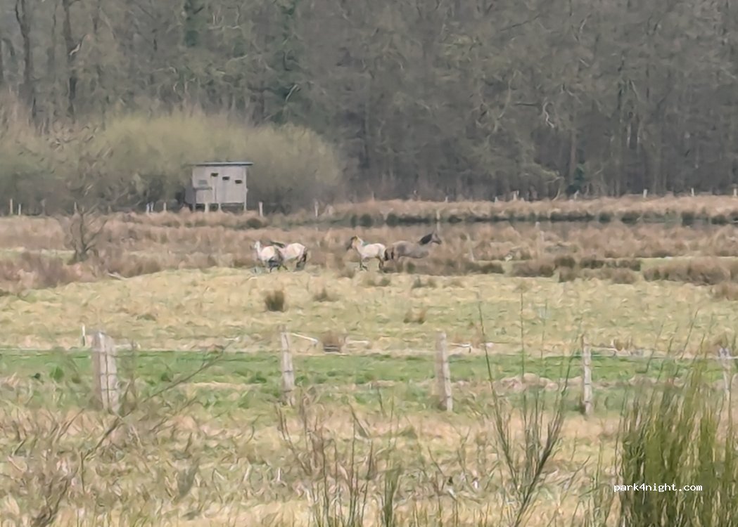 (48291) Telgte - 3 Mersch — foto 3