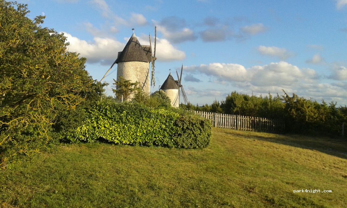 (17500) Saint-Germain-de-Vibrac - Terrier de Chaillot — foto
